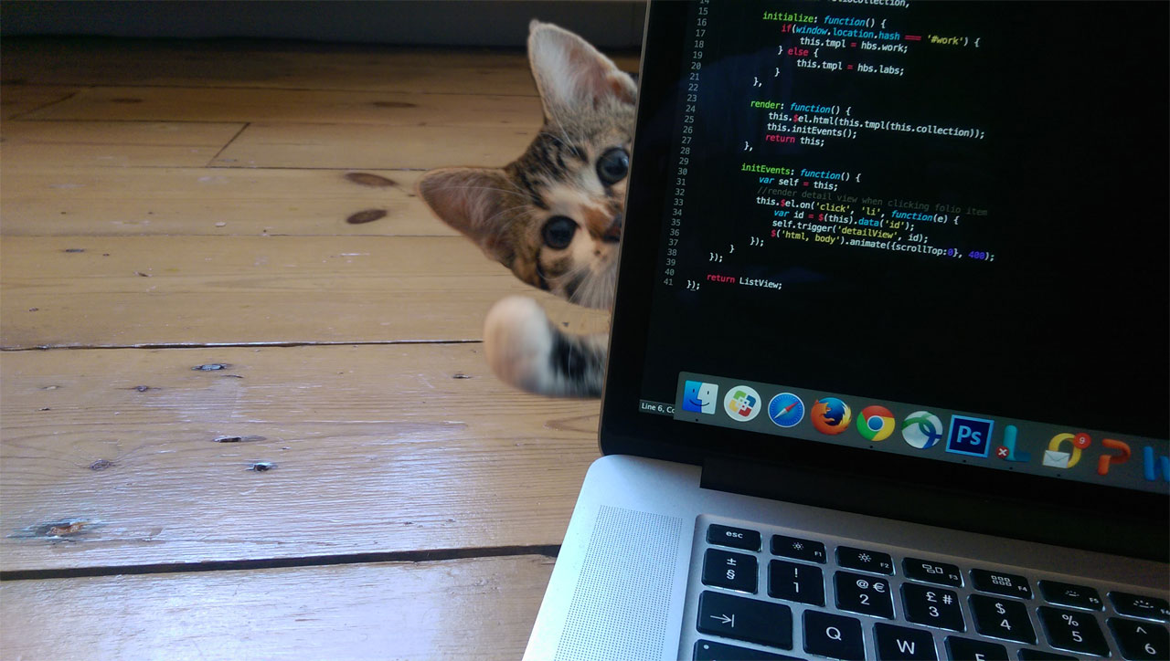 everything on the internet is better with kittens